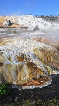 Colorful travertine terraces flowing into Clematis Creek, lower terrace at Mammoth Hot Springs, summer morning on vacation at Yellowstone National Park viewing natural geothermal features
