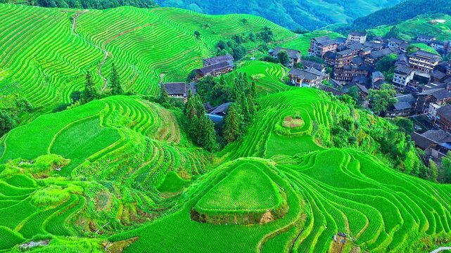 Aerial view of the Longji Rice Terraces with a traditional village in Guilin, Guangxi Province, China
