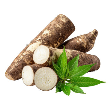 Pile of cassava roots with leaves