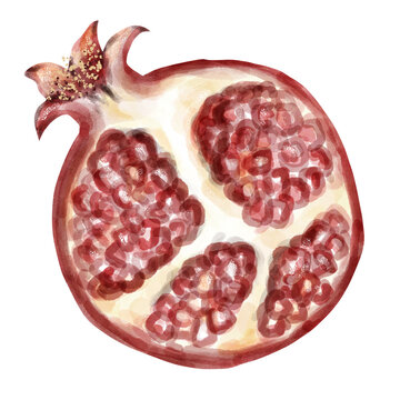 Hand-Painted Watercolor Sliced Pomegranate with Ruby Red Seeds Isolated