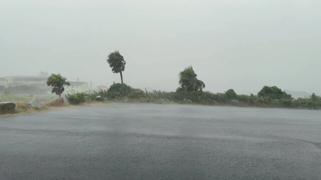 Hurricane Force Winds Whip Palm Trees Along Coast In Driving Rain