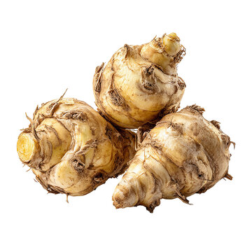 Three bulbous, light beige roots clustered close together