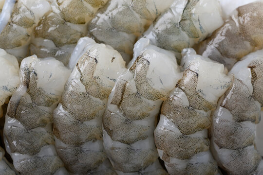 Close-up of raw Pacific white shrimp texture and pattern background, seafood ingredient