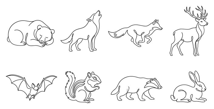 Collection of hand-drawn vector outline forest animals including a bear wolf fox deer bat chipmunk badger and rabbit.