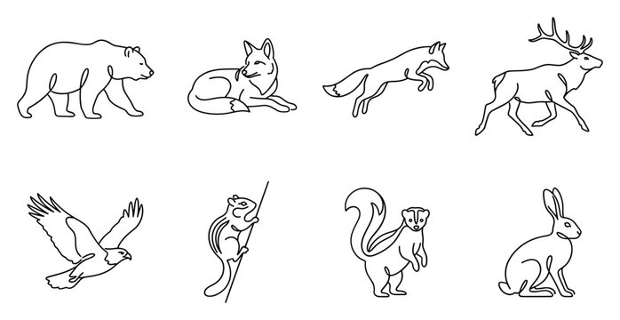 Collection of hand-drawn line art illustrations featuring various wild forest animals including a bear wolf fox deer bird squirrel skunk and rabbit.