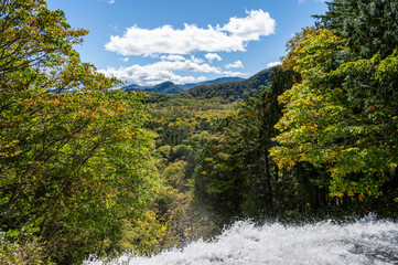 木々の合間から見下ろす紅葉の森と、激しい水飛沫の広がる景観 © MORIO