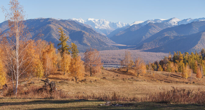 Mountain autumn landscape, snow-capped peaks and forest, picturesque valley