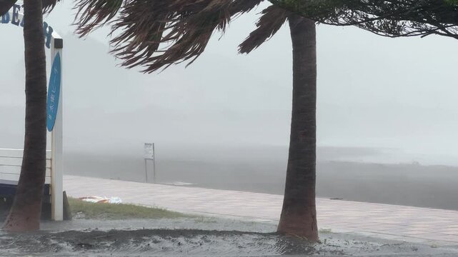 Strong Wind And Rain Hit Beach During Hurricane Landfall