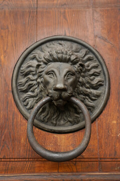lion head door knocker