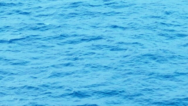 Vibrant Blue Ocean Water Surface with Gentle Ripples Texture