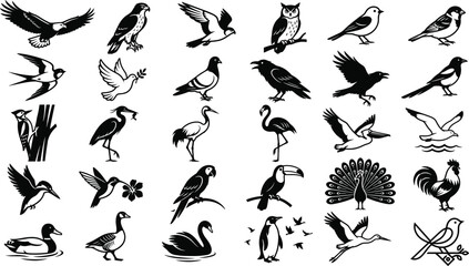 Fototapeta premium Black bird silhouette collection featuring eagles, owls, swallows, pigeons, crows, herons, flamingos, hummingbirds, ducks, swans, penguins, and peacocksBlack bird silhouette collection 