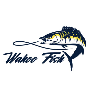 wahoo fish vector for fishing logo company eps