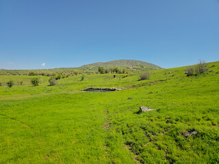 Fototapeta premium Vast green meadow stretches toward a rounded, tree-covered hill silhouetted beneath a brilliant clear blue sky. 📍 Marivan, Kurdistan, Iran 