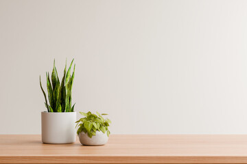 Fototapeta na wymiar Minimalist wooden table mockup with potted plants against blank white wall for product presentation- 3D rendering