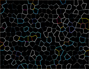 Abstract Voronoi Diagram Geometric Pattern. Black Polygonal Mesh Vector Background. Tech Digital Art © asmaulart38