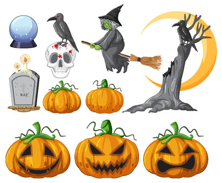 Halloween Witch, Pumpkin and Spooky Characters Illustration Collection