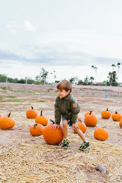Little Boy in Pumpkin Patch