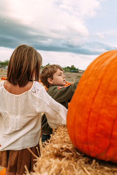 kids in a pumpkin patch