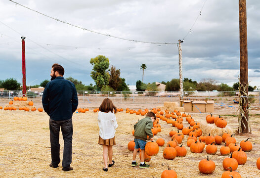 family in pumpkin patch