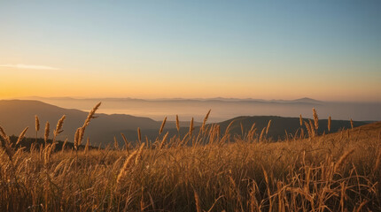 Obraz premium Late summer landscape with golden grass and distant mountain ridge