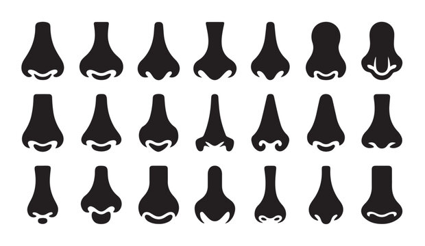 Nose anatomy silhouette elements collection for facial profile variations and cosmetic surgery visual guides.