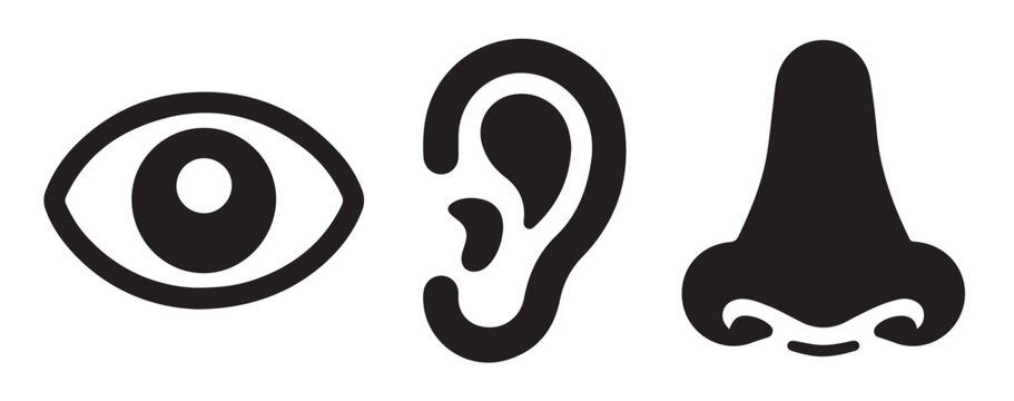 Sensory organ icons display black eye ear and nose silhouettes for vision hearing and smell representation.