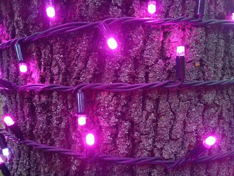 A close-up texture of a rough tree trunk with thick cracked bark wrapped in a black wire garland with glowing bright pink and purple LED fairy lights