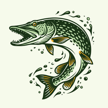 Aggressive northern pike striking pose with water splashes vector design