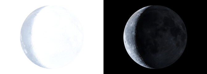 Half Moon realistic lunar phase sphere with lit crater surface and dark shadow side for astronomy design in PNG, Transparent and Black Background Versions © Crafter