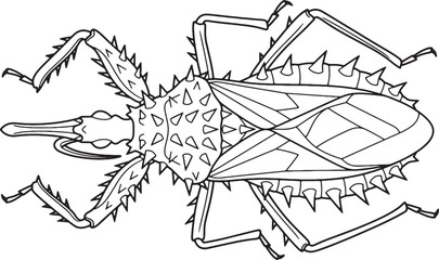 Naklejka premium Spiny Assassin Bug Top View Line Art Outline Illustration
