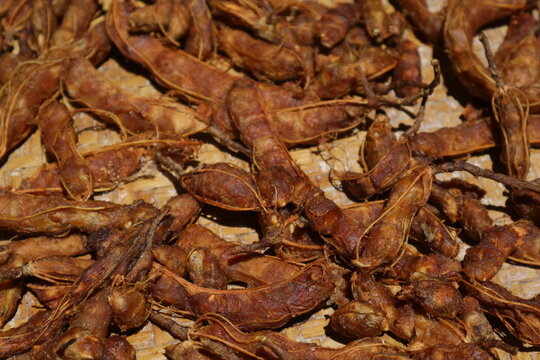 Peeled tamarind fruit is being sun-dried.