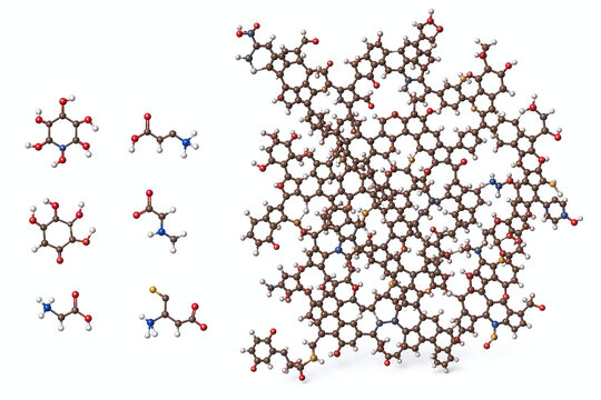 Melanoidin polymer with sugar and amino acid precursors