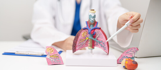 Doctor with Smoker and normal Lung anatomy for Disease. Lung Cancer, Asthma, Chronic Obstructive...