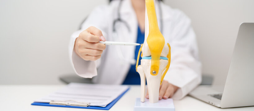 Doctor with Human Knee joint anatomy model. Osteoarthritis, Patellofemoral Pain Syndrome, Patellar Tendinitis, ACL, Anterior Cruciate Ligament, PCL, Posterior, MCL, Medial Collateral, LCL and Lateral