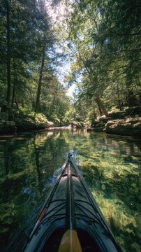 Kayaking on a Clear Forest River