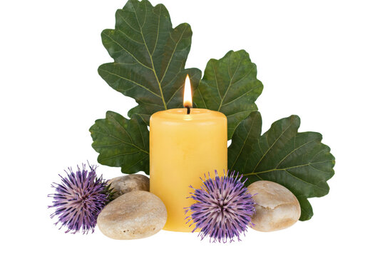Yellow pillar candle with burning flame, green oak leaves, purple thistle flowers, and smooth river stones isolated on a transparent background