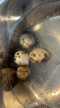 Hard-boiled quail eggs in stainless steel bowl with rising bubbles, also known as cooked Coturnix eggs in metallic container