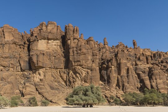 Rock wall at Guelta d'Archei waterhole, Ennedi plateau, Chad