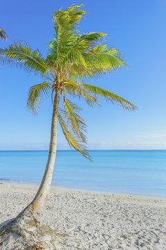 Smathers beach, Key West, Florida, USA