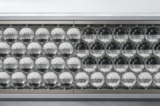 Electrophoretic Display Microcapsules Switching Black and White