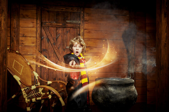 Cauldron Young Wizard