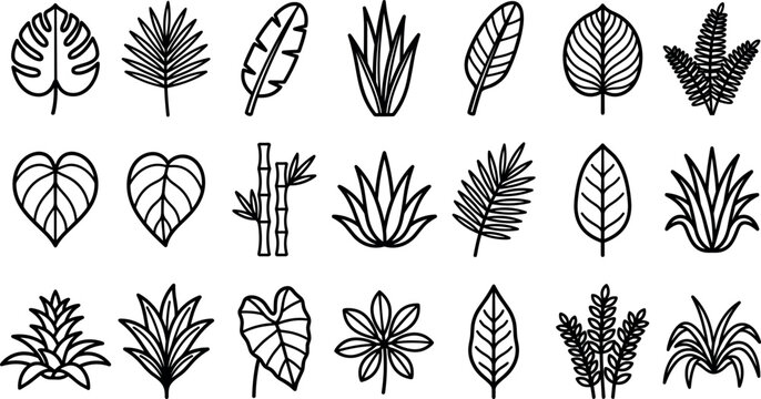 Tropical leaves and botanical foliage line icon set featuring jungle plants monstera palm bamboo and exotic greenery for branding layout design
