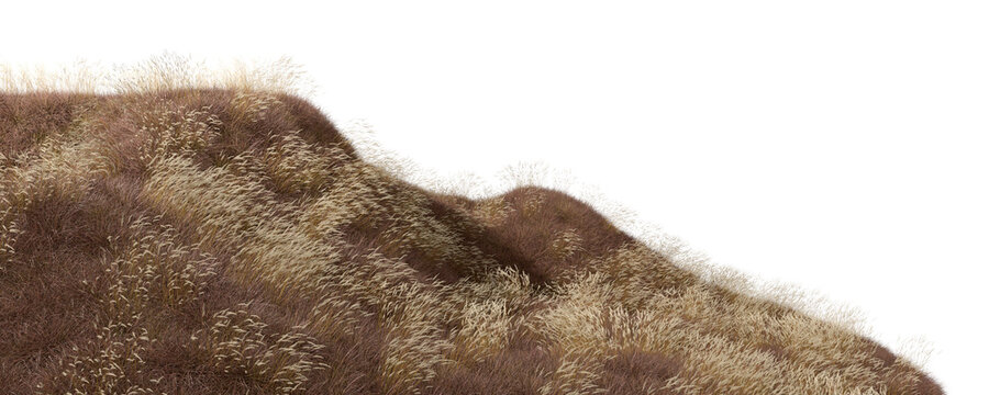 Feathers dry grass fields flowing wind on hills landscape cut out backgrounds 3d rendering png