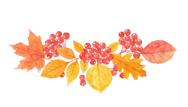 Orange Autumn Leaves and  Red Berries Border, Fall Watercolor Illustration