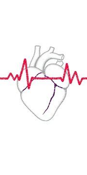 Stippled illustration of heart beats pulsating on a blank background, circulatory, medical