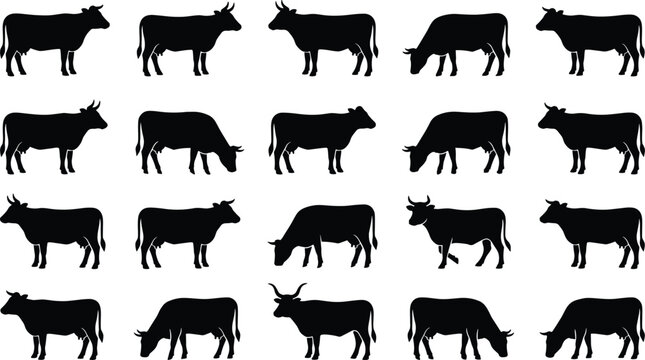ow and bull black silhouettes set, grazing farm animals, isolated vector illustration