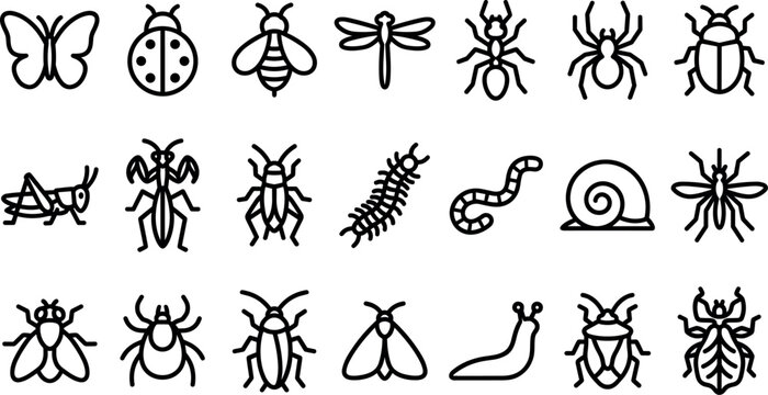 Minimalist insects and bugs vector line art icon set featuring butterfly bee spider and various wildlife creepy crawlies