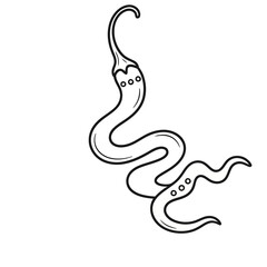 Fototapeta premium Wavy chili pepper outline