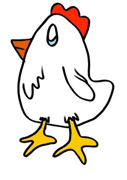 picture of a very fat and healthy chicken, suitable as a good livestock animal, has a red comb and strong feet, and has a color, isolated on white background