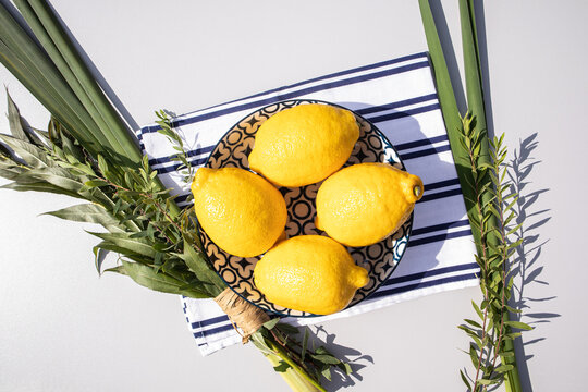 The Jewish festival of Tabernacles is known for the etrog ritual citrus fruit which represents a symbol of the Jewish holiday of Sukkot